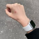 꽃다지 맞은편 | 4월의 백수
