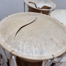 갈매초등학교 이미지