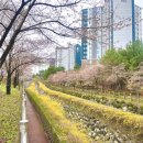 도촌북로 이미지