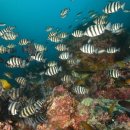 섬바위길 이미지