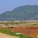 관두산 봉수지 이미지