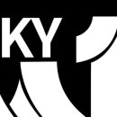 스카이세차장 이미지