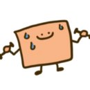 디에스오토