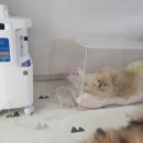 씨엔비헬스케어 이미지