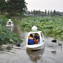 회산백련지 소공원 이미지