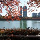 서울척척정형외과의원 이미지