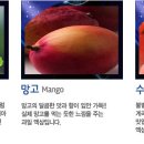 퀸비