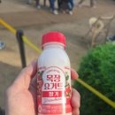 서울목장 | 서울우유 목장 요거트 딸기 구매 후기 리뷰