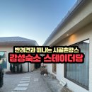 스테이더담 구미무을점 | 반려견도 놀란 구미여행 반려견동반숙소 완벽한 촌캉스 스테이더담 구미무을점 방문기