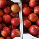 경산농장 이미지