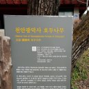 광덕사 이미지