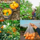 진하농장 이미지