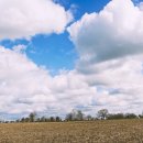 몽생미셀 이미지