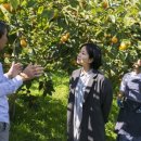 향단농장 이미지