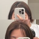 손미용실 - 강릉시 | 성수 미용실 | 손빠른 디자이너님 뿌리염색 후기