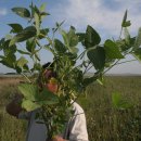 동평농장 이미지