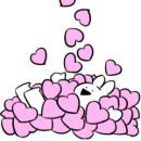 중앙레코드 이미지