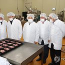 주식회사케이프라이드 연합뉴스