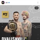 메랍 vs 오말리 2차전 UFC 316 이미지