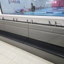 물개키즈스윔 이미지