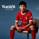 엔도 메디컬 이미지