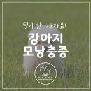 마인동물의료센터 이미지