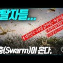 약탈자들......황충(Swarm)이 온다. 대한민국 국부를 갉아먹는 팟종이들__김성욱 대표 이미지