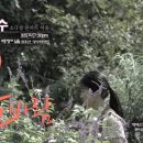 봄날애 콘서트 Daum카페