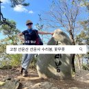 [우리집 100대 명산 19] 선운산 수리봉, 선운사 꽃무릇