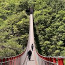 675 | 초여름 감악산(675m) 산행 후기