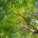 구봉산길 이미지