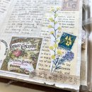 Cheeky Journals4 이미지