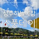 즐거움 가득한 대구 근교 놀곳 성주하늘목장 소풍데이 가을운동회 다녀온 후기
