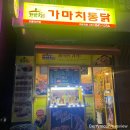[강릉/유천] 옛날통닭 맛집, 가마치통닭 매장 후기