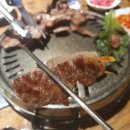 세계축산유통