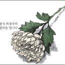 이태원 압사 참사 사망 154명 부상102명 이미지