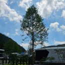 행복유황사우나 이미지