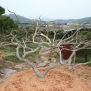 느티나무농원 이미지