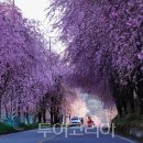 (주)울림트레블