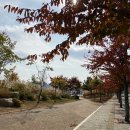 바다해오름 이미지