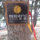 ㅁ자형 2,200km걷기 국토대장정(포항-경주-울산) (2) 이미지