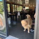 아임버디 이미지