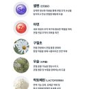 네이처픽스 팜 네이버블로그