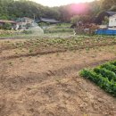 강매농장 이미지