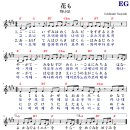 꽃들도 - 남양주시 두물로27번길 38-9 | 꽃들도