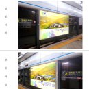 위티데이지 네이버블로그