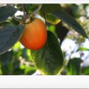 해피홈재가장기요양기관 이미지