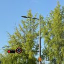 서울대본병원 | 서울대병원 미레나 제거 후기 - 미레나 제거 수면마취, 서울대병원 당일 입원