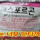 고추 탄저병 방제 실패 사례 이미지