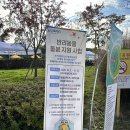 북구행복나눔푸드마켓 | 2025 화성시 반려동물 행복 나눔 축제 다녀온 생생 후기